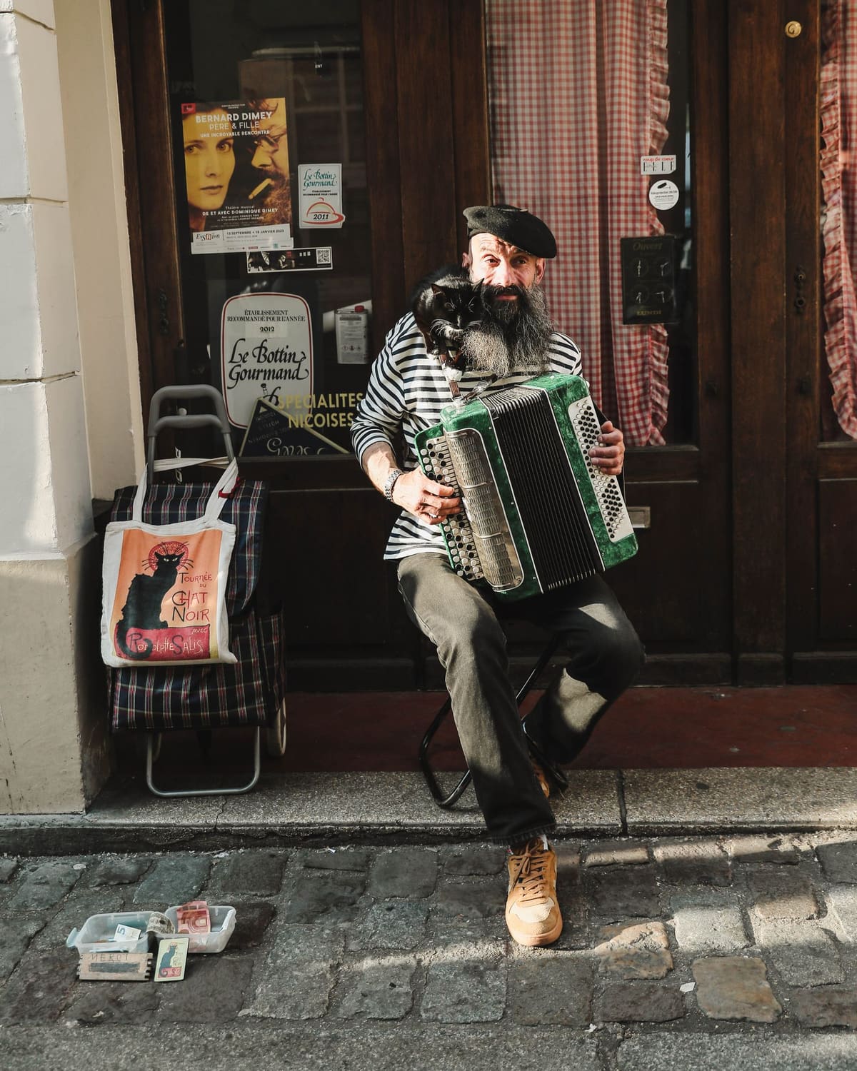 A bearded street musician in a beret plays a green accordion with a black cat perched on it.
