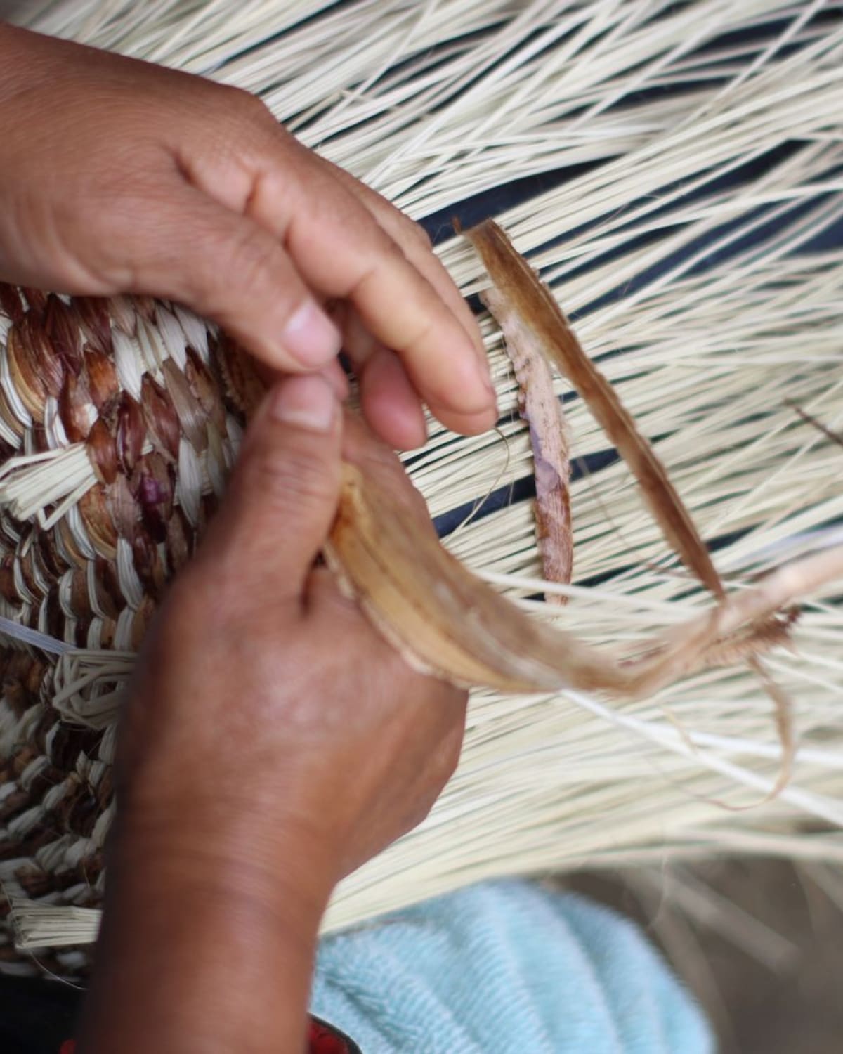 Close-up of brown hands weaving a coiled straw basket from strands of pale reed in warm daylight.