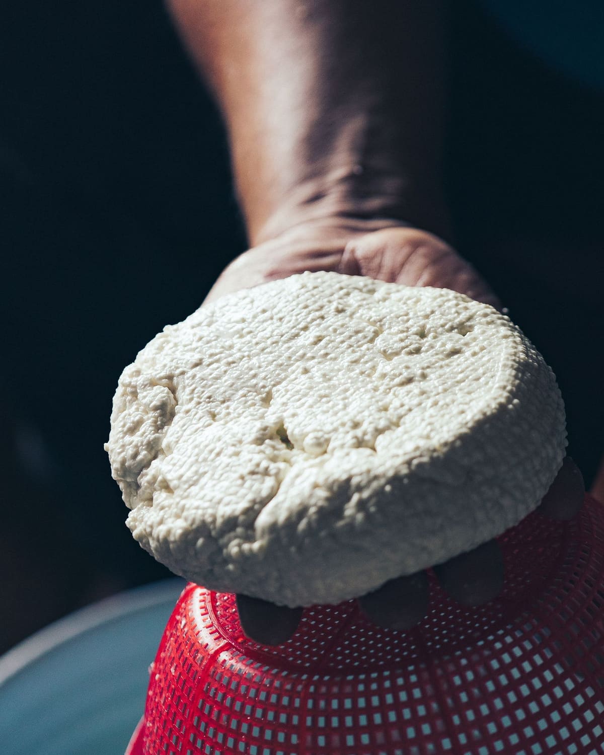 A cheesemaker's hand holding a round of fresh cheese