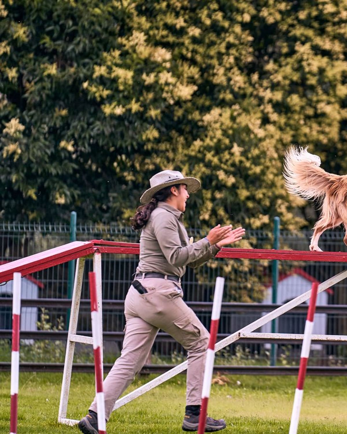 A trainer guiding a dog across an agility plank in a park, hands raised in encouragement