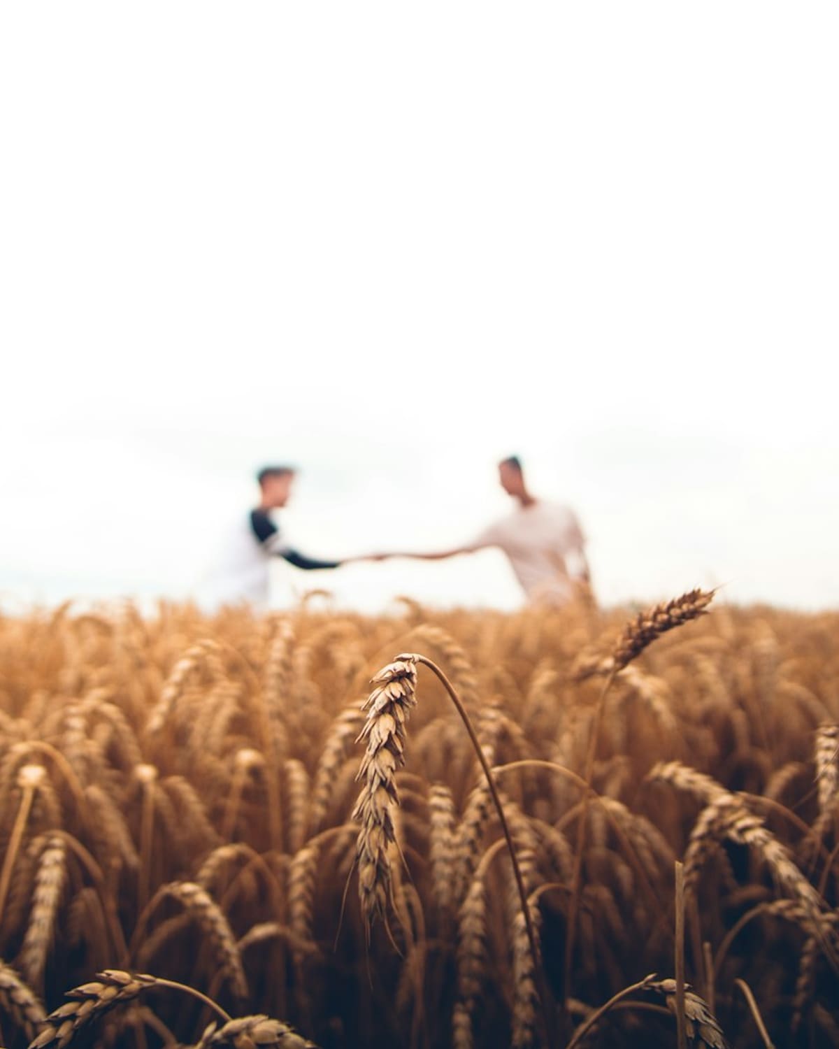 A farmer holding fresh produce in the field
