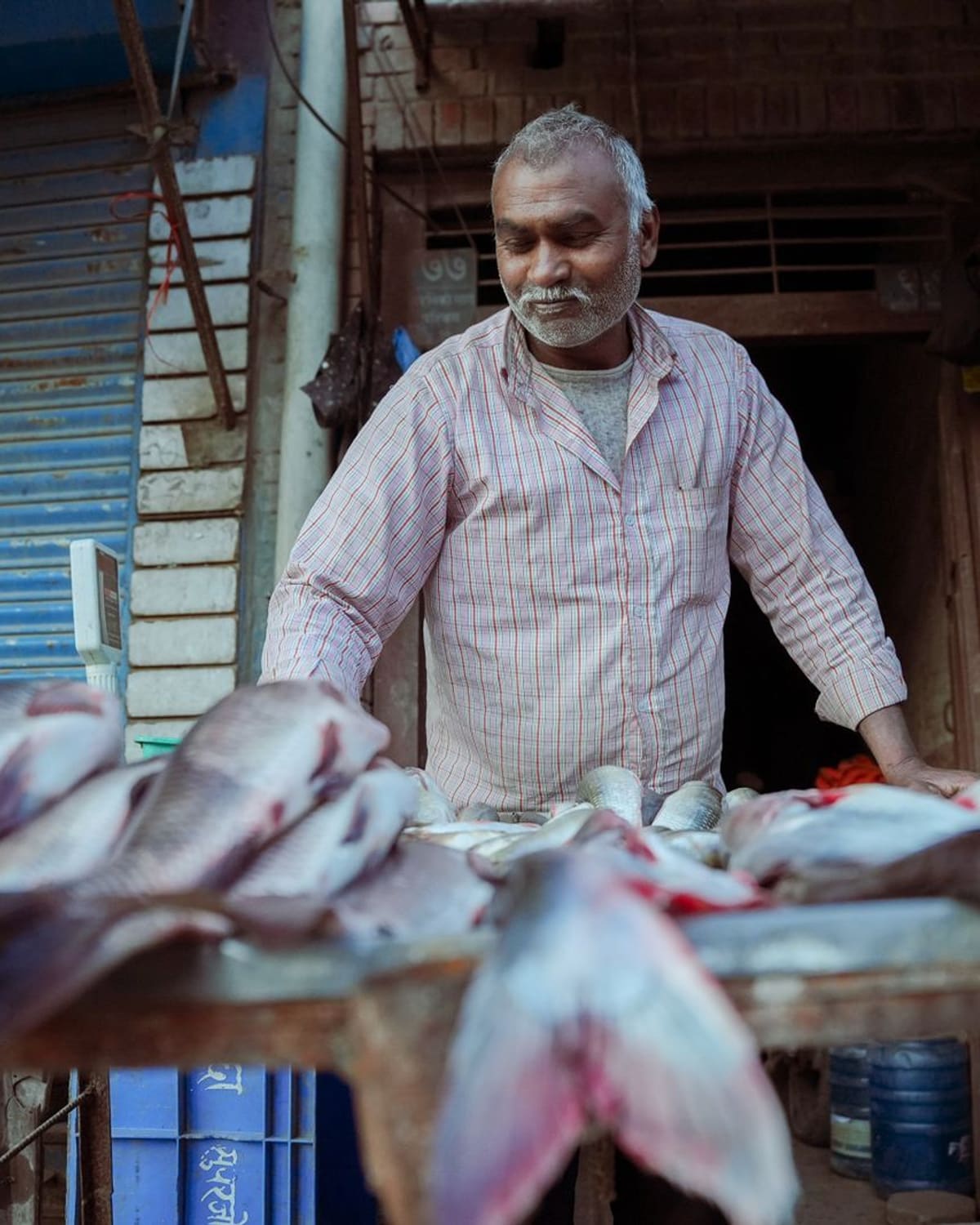 A fishmonger standing behind a stall of whole fresh fish at market