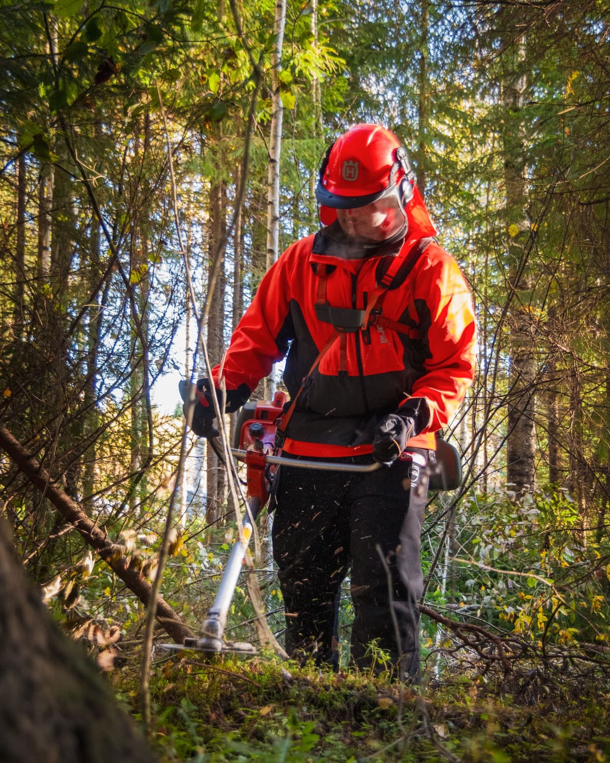 A forester in hi-vis working among the trees with a clearing saw