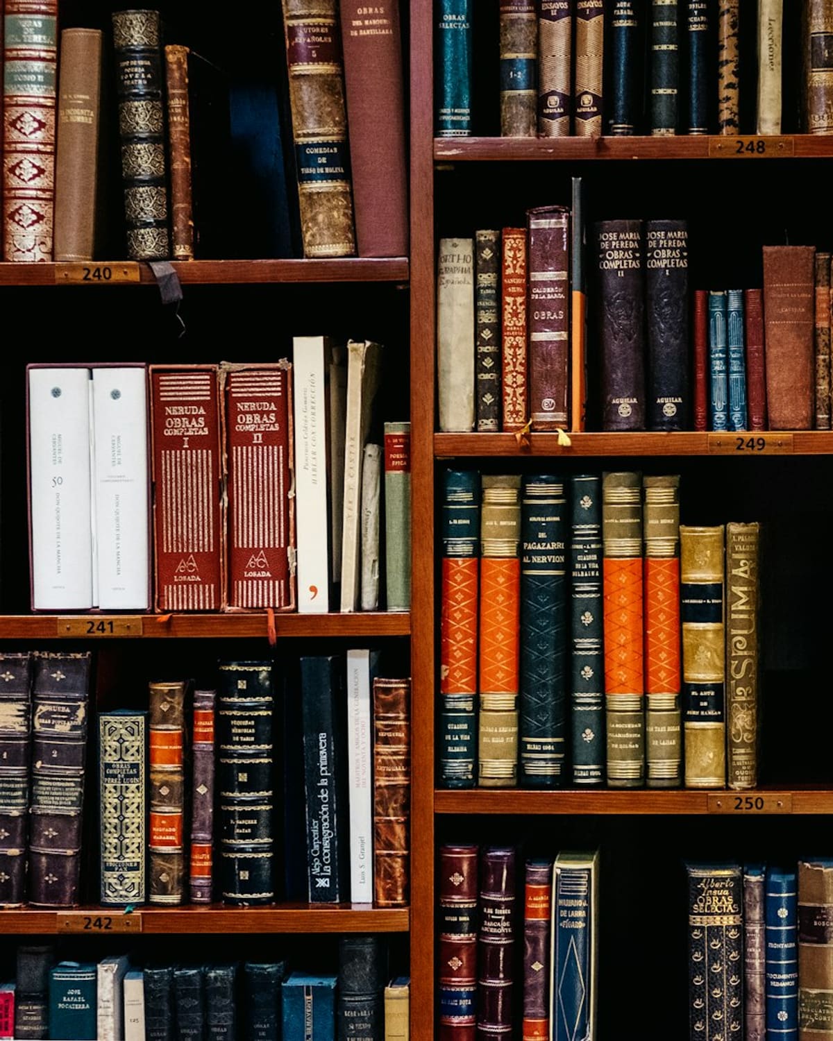 A librarian reaching along a shelf