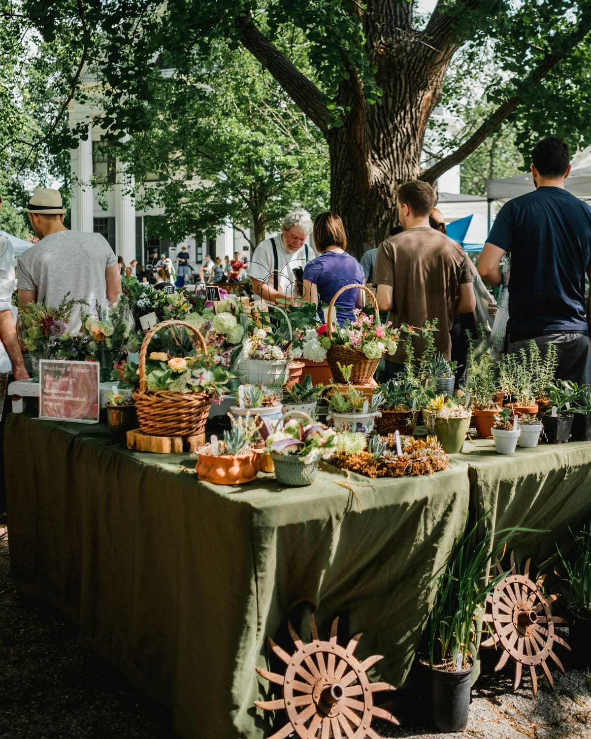 A vendor tending a flower and plant stall at a sunny market